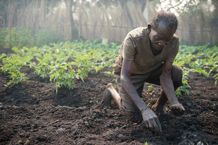 planting-seeds